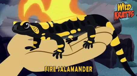 Wild Kratts Сезон 5