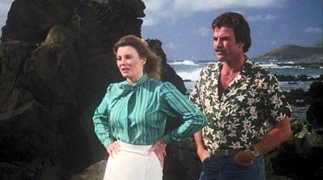 Don't Eat the Snow in Hawaii (1) (1980) - Episode 1 poster and promotional image
