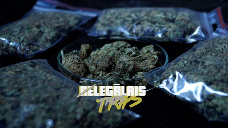 Nelegālais trips Évad 1