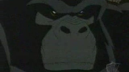 Der Gorilla