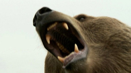 Dead or Alive Stagione 1