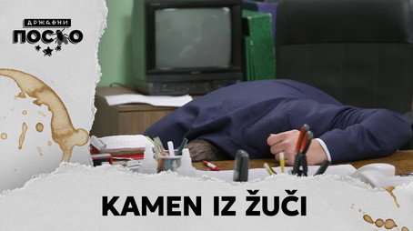 Државни посао Сезон 13