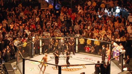 The Ultimate Fighter (2005) poster