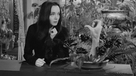 La famiglia Addams Stagione 1