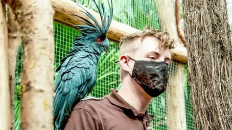 Expédition Pairi Daiza Sezóna 7
