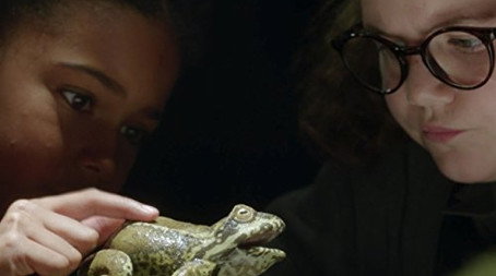 The Worst Witch Сезон 1