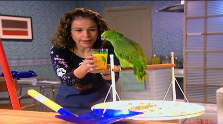 Aquele do Papagaio (2006) - Episode 9 poster and promotional image