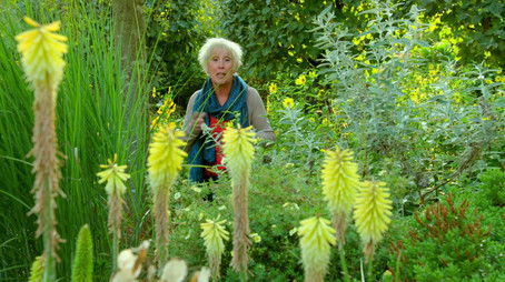 Episode 16 (None) - Episode 16 poster and promotional image