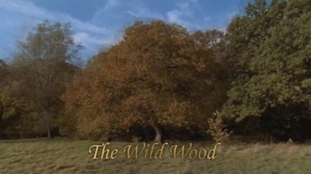 The Wild Wood (2004) - Episode 6 poster and promotional image