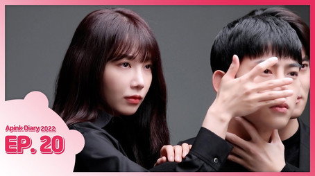 에이핑크 다이어리 Сезон 9