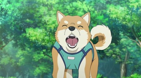 My Beloved Dog Pan-kun Is a Good Boy (2023) - Episode 1081 poster and promotional image