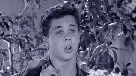 Beaver's Newspaper (1959) - Episode 30 poster and promotional image