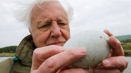 Attenborough's Wonder of Eggs (2018) - Episode 1 poster and promotional image