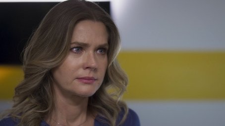 Falsa Identidade253