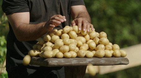 Farmen Сезон 19