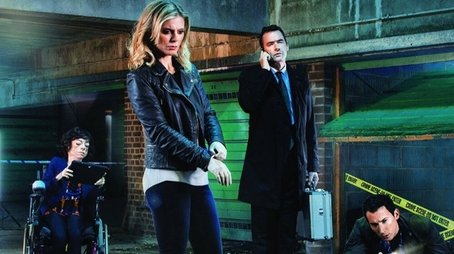 Series 19 (2016) - Season 19 poster and promotional image