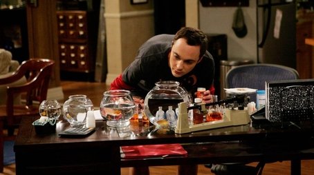 Big Bang: A Teoria14