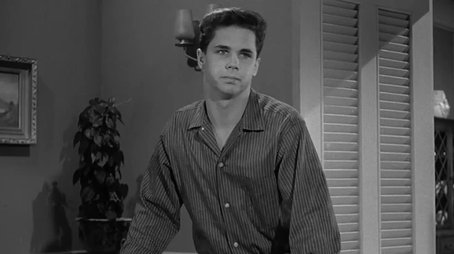 Beaver's Old Buddy (1961) - Episode 19 poster and promotional image