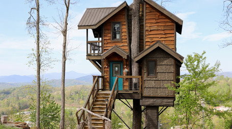 Zillow Gone Wild Сезон 3