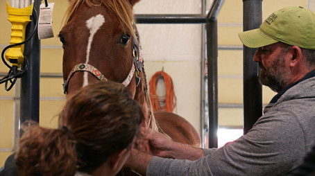 Foal New World (2022) - Episode 5 poster and promotional image