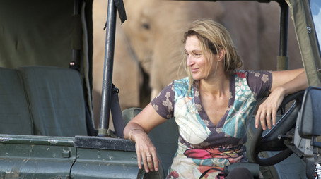 This Wild Life Stagione 1