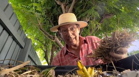Episode 29 Heritage; Bromeliad; Storm; Critters; Food (2023) - Episode 29 poster and promotional image