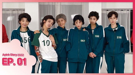 에이핑크 다이어리 Сезон 9