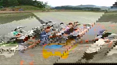 Infinite Challenge Long Term Project - Rice Planting Special: Part 2 (2009) - Episode 176 poster and promotional image