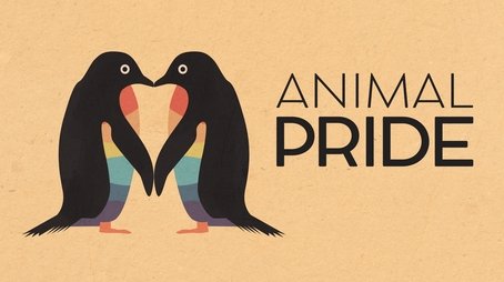 Animal Pride (2025) - Episode 12 poster and promotional image
