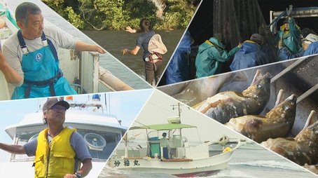 Sustainable Fishing (2020) - Episode 2 poster and promotional image