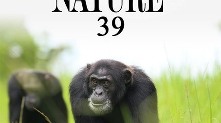 Season 39 (2020) - Season 39 poster and promotional image