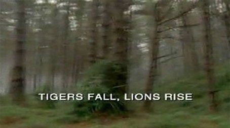 Der gefallene Tiger