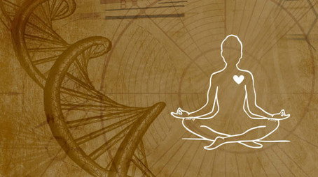 Inner Evolution Évad 1