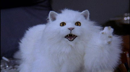 When Nina Met Elliott's Mother (2000) - Episode 12 poster and promotional image