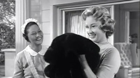 Mrs. Bixby and the Colonel's Coat (1960) - Episode 1 poster and promotional image