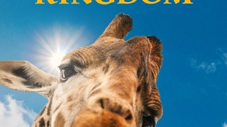 Magic of Disney's Animal Kingdom (2020) poster