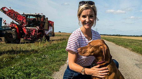 Harvest (2018) - Episode 37 poster and promotional image