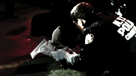 Lei & Ordem: Crimes Premeditados84