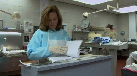 Dr. G: Medical Examiner Сезон 7