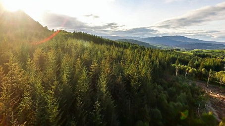 Highlands Rewilding (2021) - Episode 32 poster and promotional image