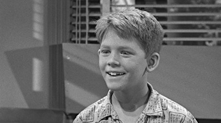 Opie's Fortune (1964) - Episode 9 poster and promotional image
