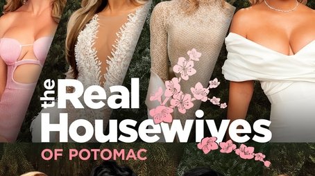 The Real Housewives of Potomac (2016) poster