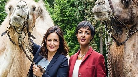 Season 6 (2019) - Season 6 poster and promotional image