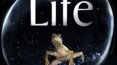 Season 1 (2009) - Season 1 poster and promotional image
