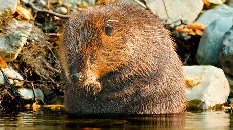 Our Changing Planet Sezóna 2