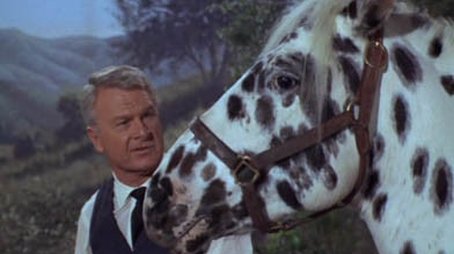 Horse? What Horse? (1966) - Episode 29 poster and promotional image
