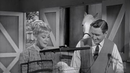 Ed the Emancipator (1963) - Episode 24 poster and promotional image