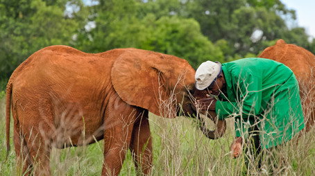 Our Changing Planet Sezóna 2