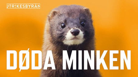 Episode 12 (2020) - Episode 12 poster and promotional image