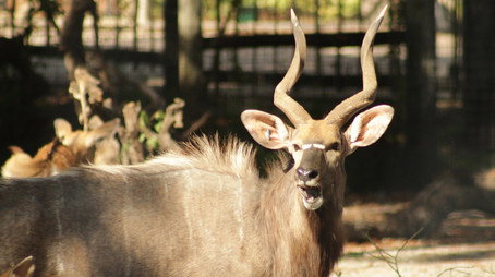 Secrets of the Zoo: Tampa Stagione 4